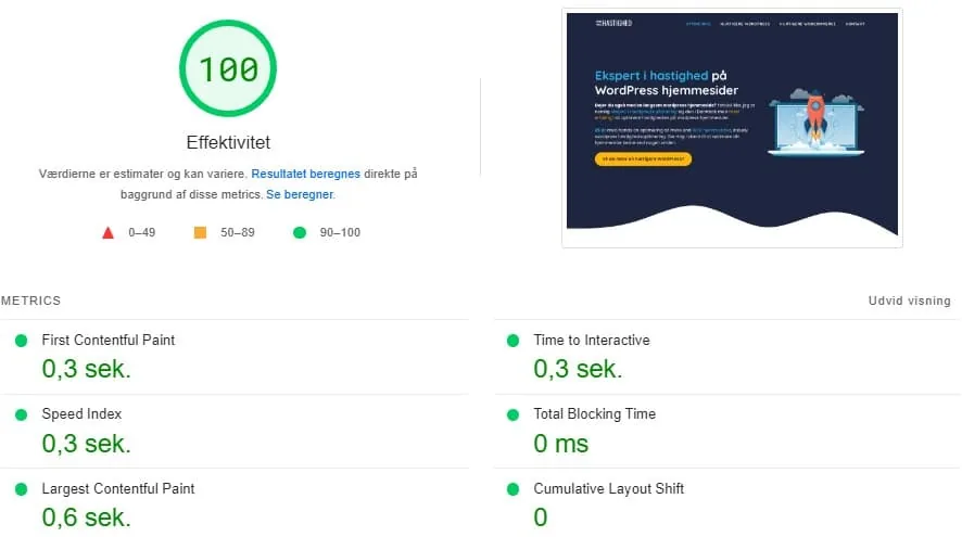 Pagespeed score på 100 på computer med en load på 0,3 sekunder