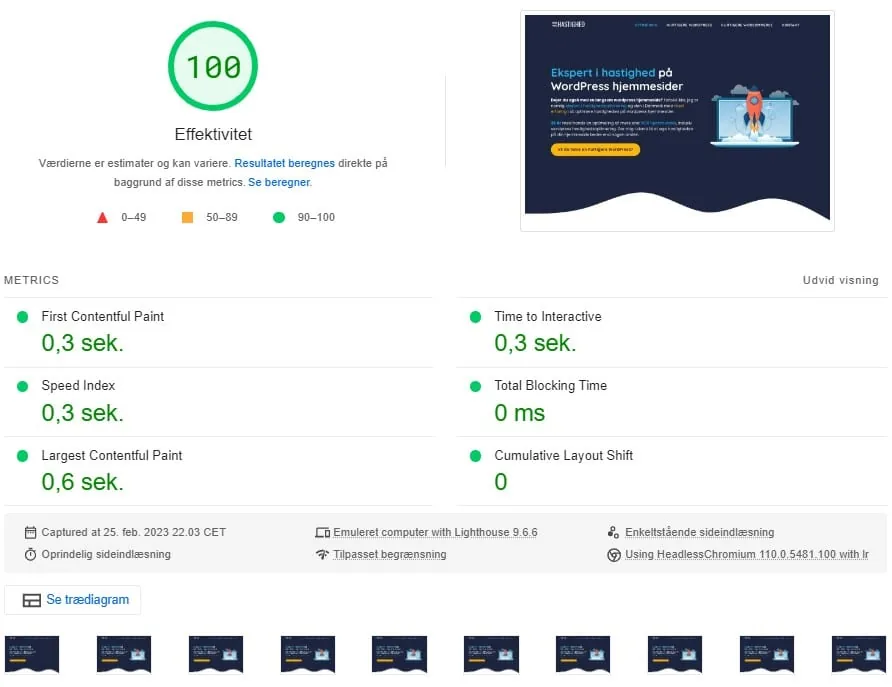 Google Pagespeed Insights